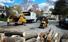 Best Tree Maintenance Programs  in Missouri Valley, IA